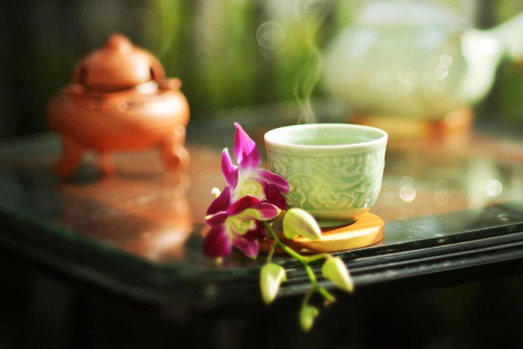 Rice Village Homestay Hoi An Eksteriør billede