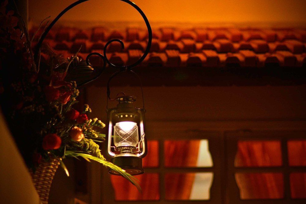 Rice Village Homestay Hoi An Eksteriør billede