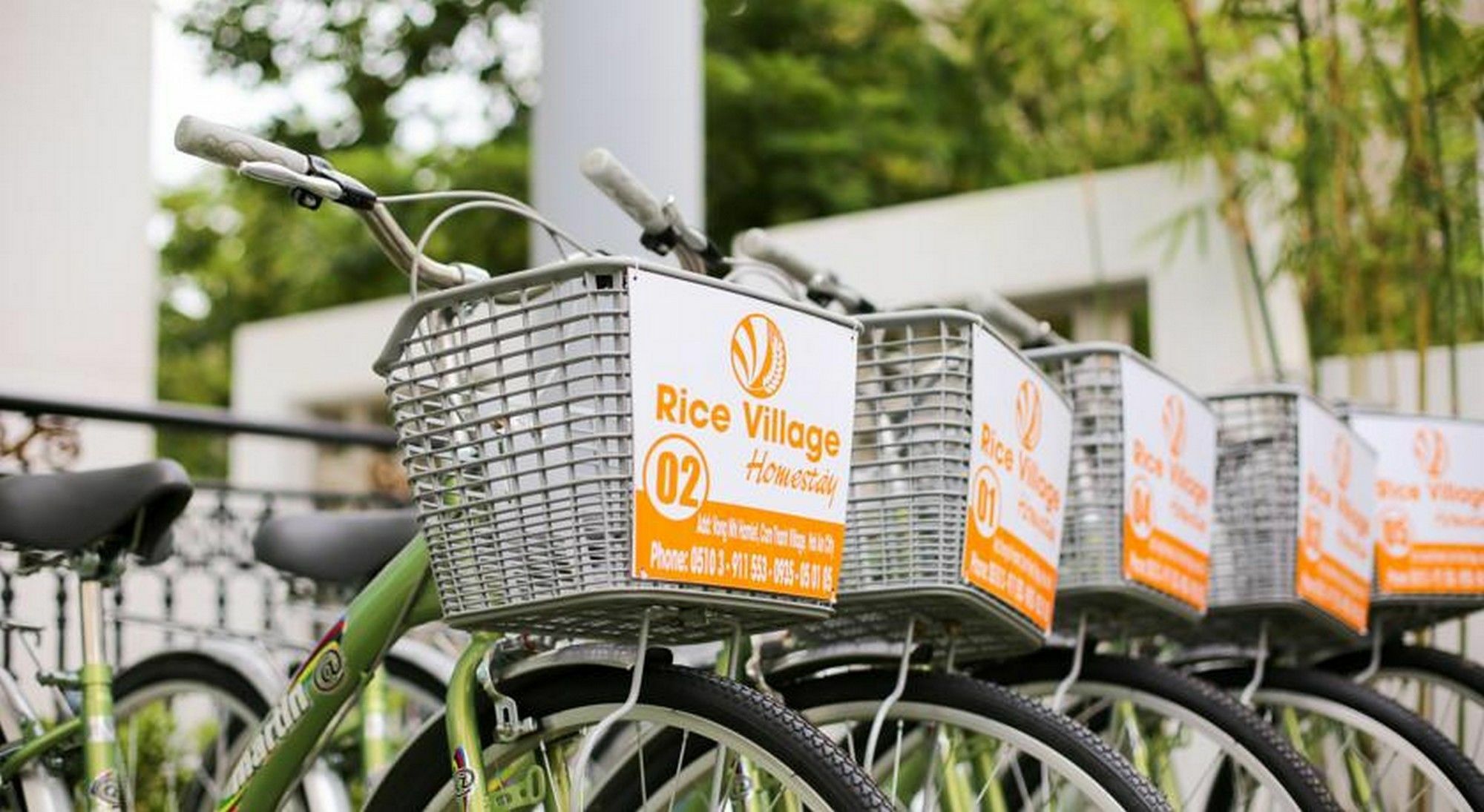 Rice Village Homestay Hoi An Eksteriør billede